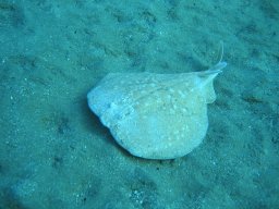 marsa_alam_200510 159